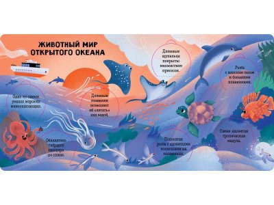 Книга Clever Книжка с окошками. Океаны и моря. Энциклопедия с окошками 1-00474227_4
