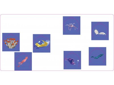 Книга Clever Книжка с окошками. Океаны и моря. Энциклопедия с окошками 1-00474227_5