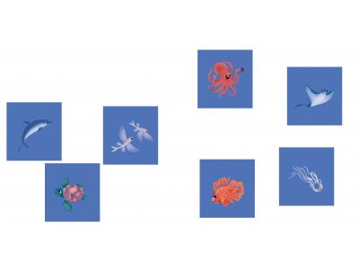 Книга Clever Книжка с окошками. Океаны и моря. Энциклопедия с окошками 1-00474227_7