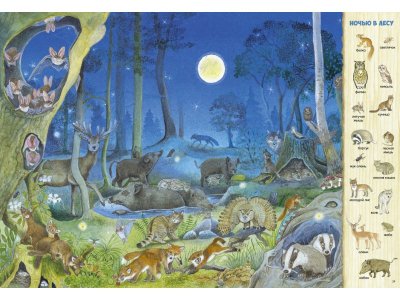 Книга Clever Найди и покажи. Найди и покажи. 1000 животных 1-00474237_3