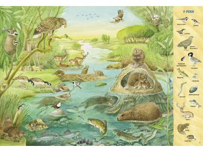 Книга Clever Найди и покажи. Найди и покажи. 1000 животных 1-00474237_7