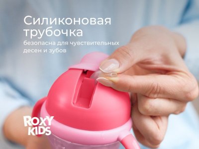 Поильник-непроливайка с трубочкой Roxy-Kids, 200 мл 1-00369655_17