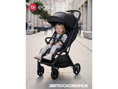 Коляска прогулочная Tomix Easy 1-00475056_4