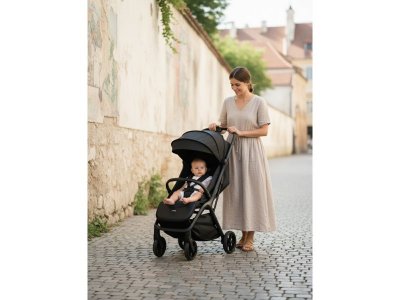 Коляска прогулочная Tomix Easy 1-00475056_7