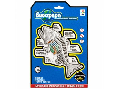 Набор 1Toy Lab БИОсфера Познавательная анатомия Пиранья, 19,5*4,5*23,5 см 1-00475481_5