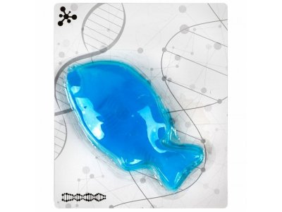 Набор 1Toy Lab БИОсфера Познавательная анатомия Пиранья, 19,5*4,5*23,5 см 1-00475481_6