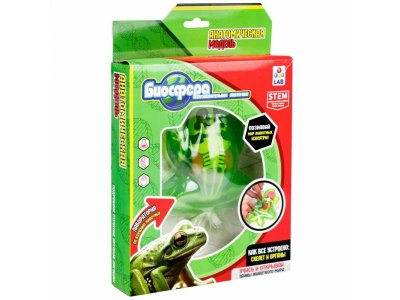 Набор 1Toy Lab БИОсфера Познавательная анатомия Лягушка,19,5*4,5*23,5 см 1-00475482_2