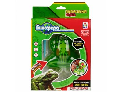 Набор 1Toy Lab БИОсфера Познавательная анатомия Лягушка,19,5*4,5*23,5 см 1-00475482_3