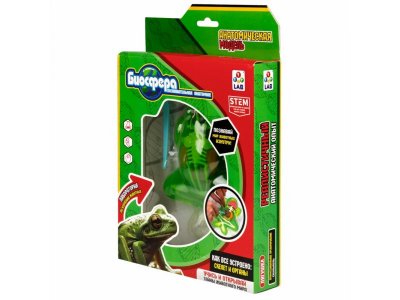 Набор 1Toy Lab БИОсфера Познавательная анатомия Лягушка,19,5*4,5*23,5 см 1-00475482_4
