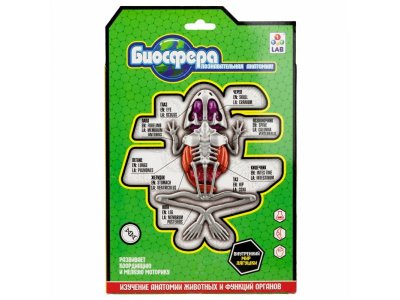 Набор 1Toy Lab БИОсфера Познавательная анатомия Лягушка,19,5*4,5*23,5 см 1-00475482_5