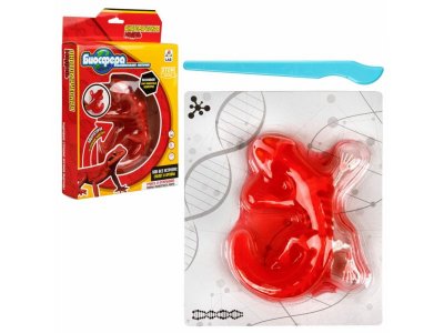 Набор 1Toy Lab БИОсфера Познавательная анатомия Ящерица, 19,5*4,5*23,5 см красный 100475483