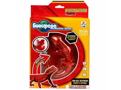 Набор 1Toy Lab БИОсфера Познавательная анатомия Ящерица, 19,5*4,5*23,5 см 1-00475483_3
