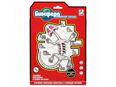 Набор 1Toy Lab БИОсфера Познавательная анатомия Ящерица, 19,5*4,5*23,5 см 1-00475483_5