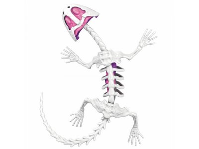 Набор 1Toy Lab БИОсфера Познавательная анатомия Ящерица, 19,5*4,5*23,5 см 1-00475483_8