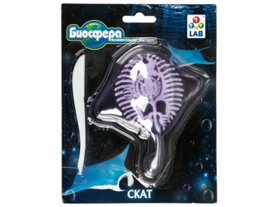 Набор 1Toy Lab БИОсфера Познавательная анатомия Скат мини, 14*18 см 1-00475484_3