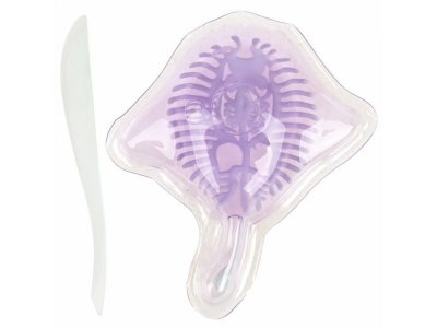 Набор 1Toy Lab БИОсфера Познавательная анатомия Скат мини, 14*18 см 1-00475484_6