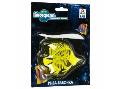 Набор 1Toy Lab БИОсфера Познавательная анатомия Рыба-бабочка мини, 14*18 см 1-00475485_2