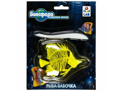 Набор 1Toy Lab БИОсфера Познавательная анатомия Рыба-бабочка мини, 14*18 см 1-00475485_3