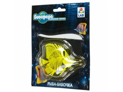 Набор 1Toy Lab БИОсфера Познавательная анатомия Рыба-бабочка мини, 14*18 см 1-00475485_4