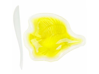 Набор 1Toy Lab БИОсфера Познавательная анатомия Рыба-бабочка мини, 14*18 см 1-00475485_6