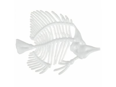 Набор 1Toy Lab БИОсфера Познавательная анатомия Рыба-бабочка мини, 14*18 см 1-00475485_7