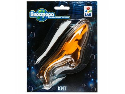 Набор 1Toy Lab БИОсфера Познавательная анатомия Кит мини, 14*18 см 1-00475486_3