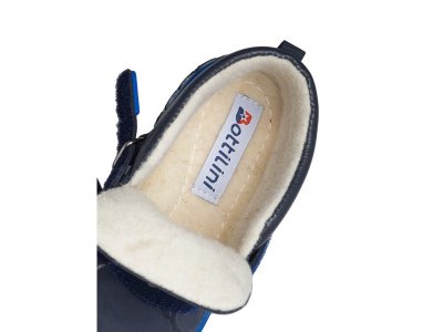 Ботинки Bottilini 1-00476884_5