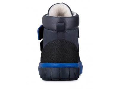 Ботинки Bottilini 1-00476884_6