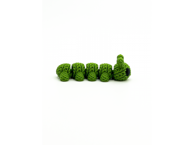 Игрушка Funberry toys 3D Гусеница Саша 1-00469848_3