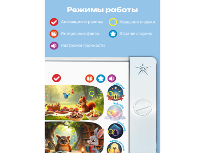 Книга BertToys Нажималка 5в1 Хочу все знать 1-00480731_15