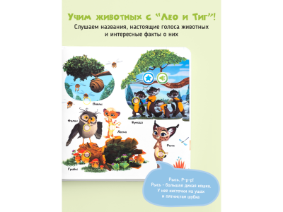 Книга BertToys Маленькая Нажималка, Учимся с мультяшками 1-00480732_15