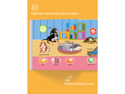 Книга BertToys Маленькая Нажималка, Всё о животных 1-00480734_13