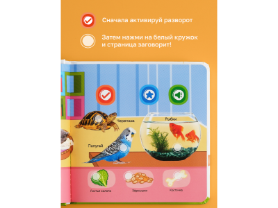 Книга BertToys Маленькая Нажималка, Всё о животных 1-00480734_14