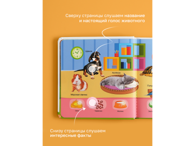 Книга BertToys Маленькая Нажималка, Всё о животных 1-00480734_16