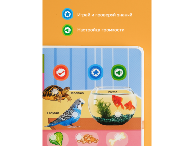 Книга BertToys Маленькая Нажималка, Всё о животных 1-00480734_18