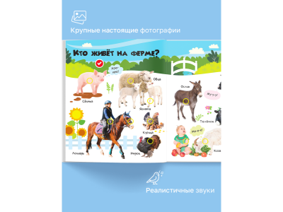 Книга BertToys, Нажималка, Животные 1-00480735_14