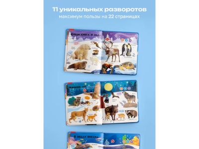 Книга BertToys, Нажималка, Животные 1-00480735_19