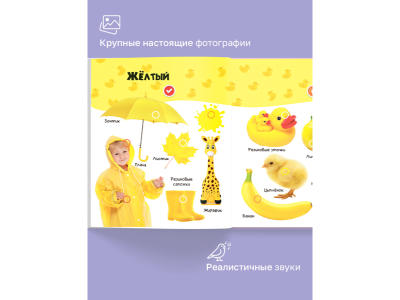Книга BertToys Нажималка, Цвета 1-00480738_14