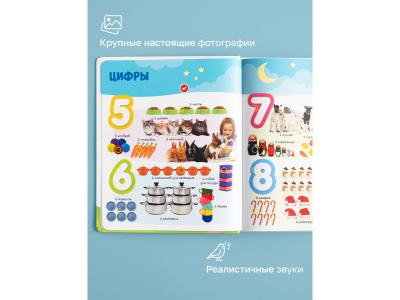 Книга BertToys Большая Нажималка, Первые знания 1-00480743_11