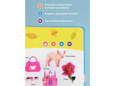 Книга BertToys Большая Нажималка, Первые знания 1-00480743_17