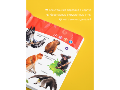 Книга BertToys Говорящая Нажималка, Животные 1-00480745_12