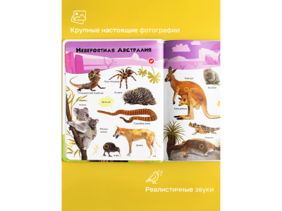 Книга BertToys Говорящая Нажималка, Животные 1-00480745_13
