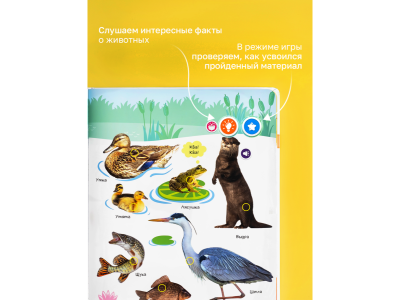 Книга BertToys Говорящая Нажималка, Животные 1-00480745_17
