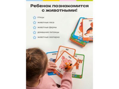 Интерактивные карточки BertToys Пиши-читай, Слова 1-00480756_7