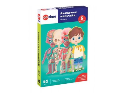 Пазл 3D On Time Анатомия мальчика обучающий разноцветный 100475465