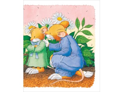 Книга Росмэн Мышонок Тим долго собирается 1-00469462_2