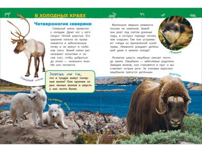 Книга Росмэн Энциклопедия для детского сада Животные России 1-00469467_2