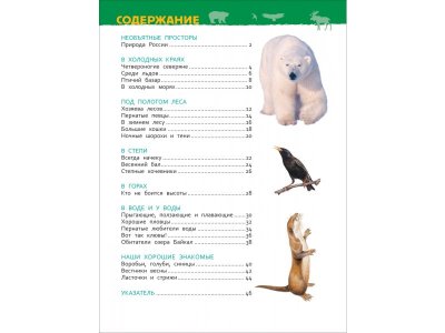 Книга Росмэн Энциклопедия для детского сада Животные России 1-00469467_4