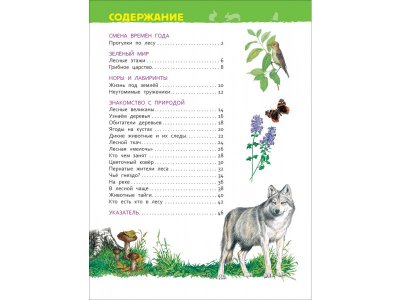 Книга Росмэн Энциклопедия для детского сада В лесу 1-00469468_4