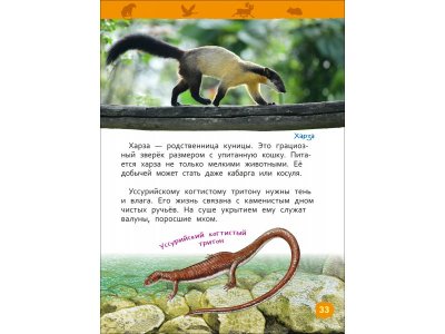 Книга Росмэн Энциклопедия для детского сада Красная книга России 1-00469472_2